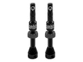 Ambit Realm Tubeless Valves